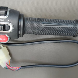 Kombischalter und Gasgriff rechts