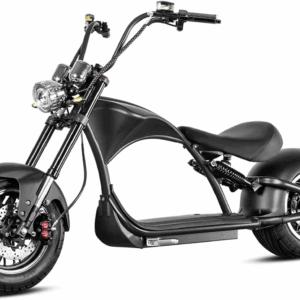 E-Chopper X9